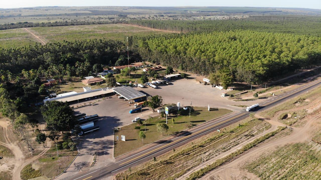 Plantio de Eucalipto em Ribas do Rio Pardo