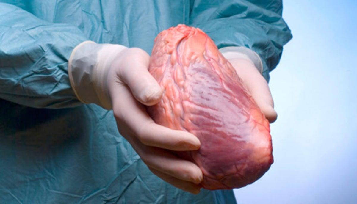Médico tropeça e derruba coração transportado para transplante (VÍDEO)