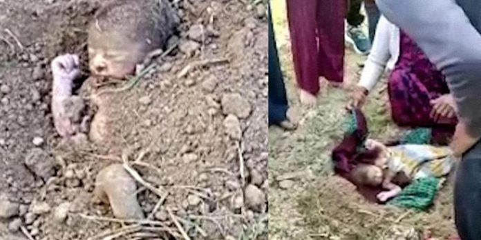 Bebê recém-nascido é encontrado enterrado vivo na Índia
