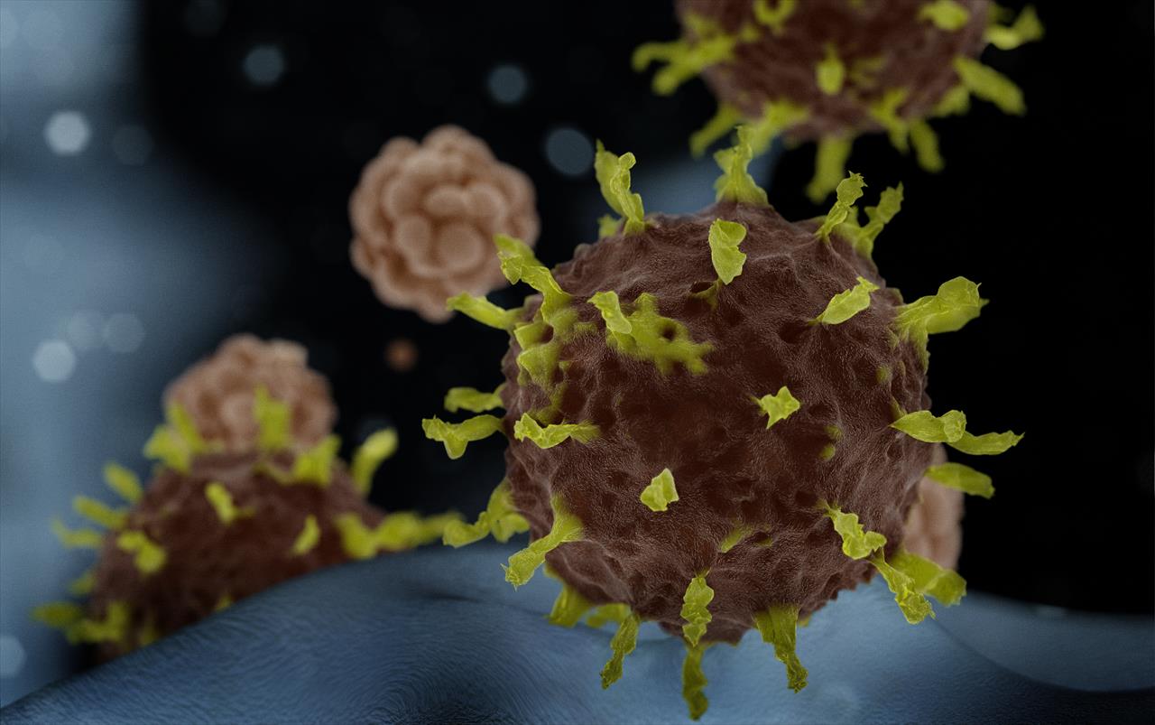 Mutação mais contagiosa do Coronavírus é encontrada no Brasil