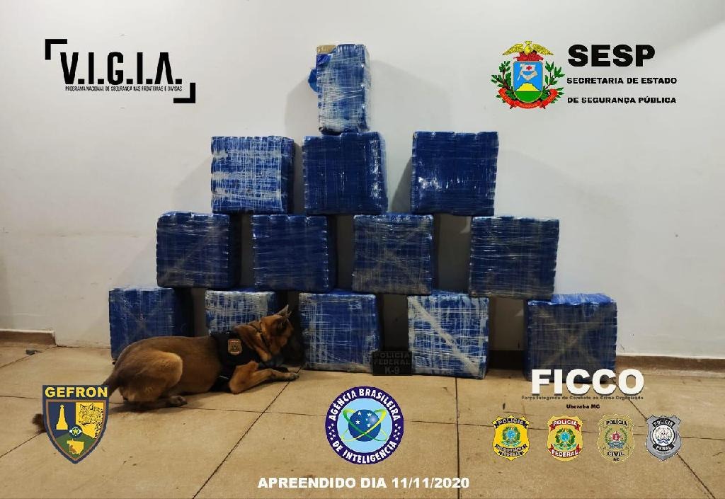 Gefron apreende 500 kg de drogas avaliadas em mais de R$ 10 milhões