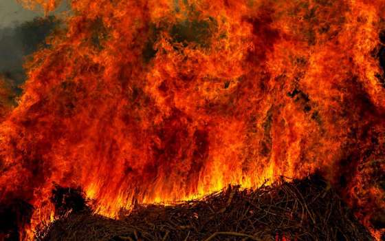 Incêndios queimaram 40% de todo o Pantanal mato-grossense