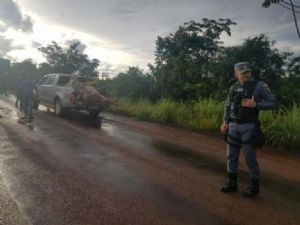 Caminhoneiro atropela 17 cabeças de gado após invadirem pista em Santo Antônio do Fontoura