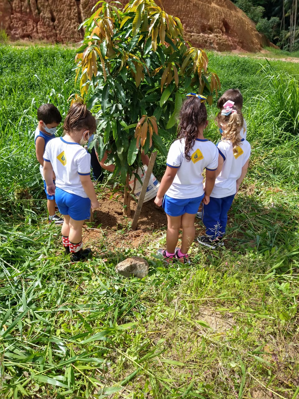 Feira das Ciências 2019 Feira das Ciências 2019