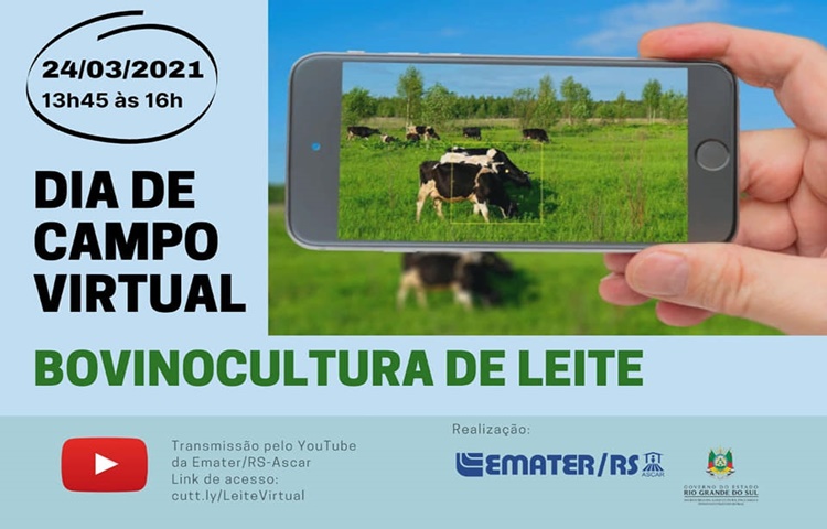 Dia de campo virtual trata da bovinocultura de leite