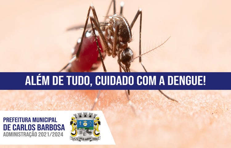 Dengue é assunto que merece cuidados em Carlos Barbosa
