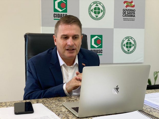Imagem da Galeria