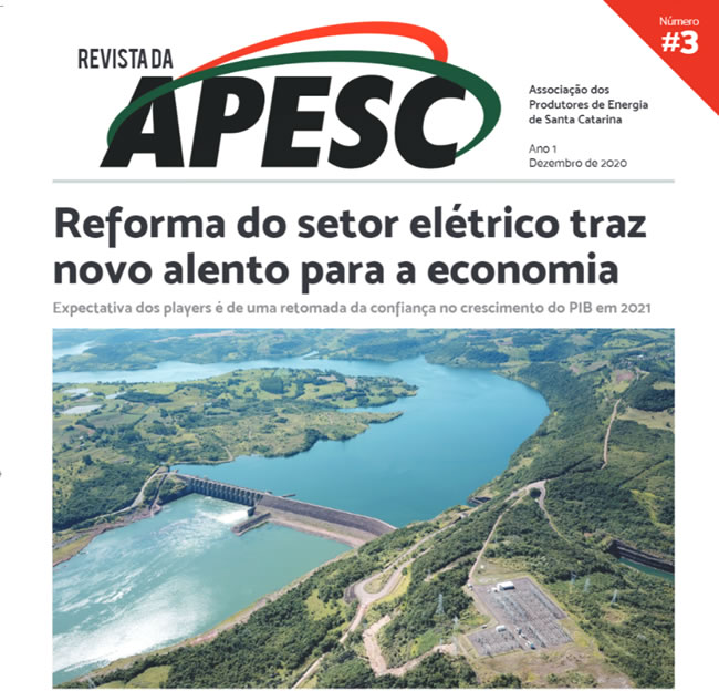 Revista da APESC - Edição 3