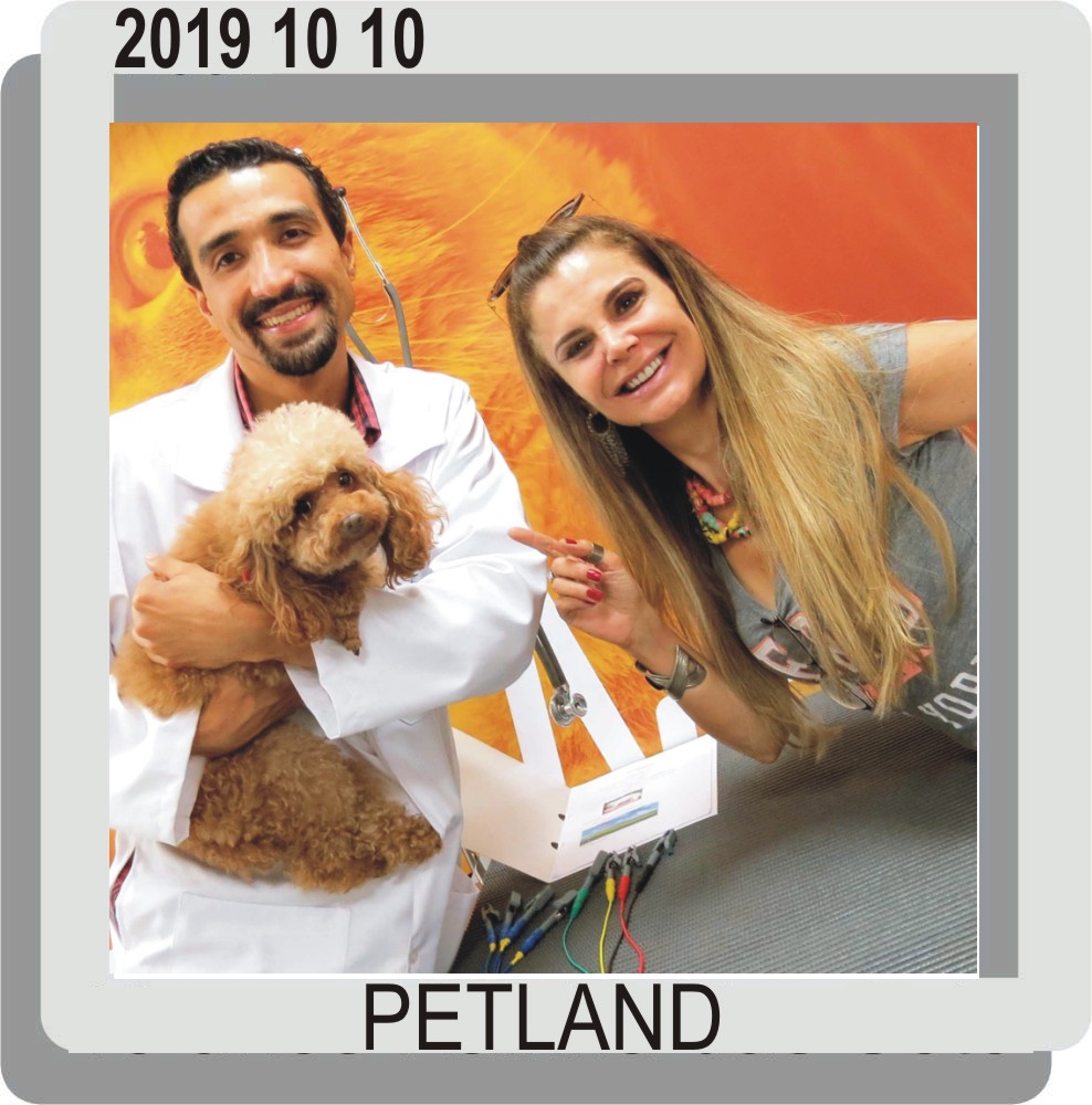Petland Exames