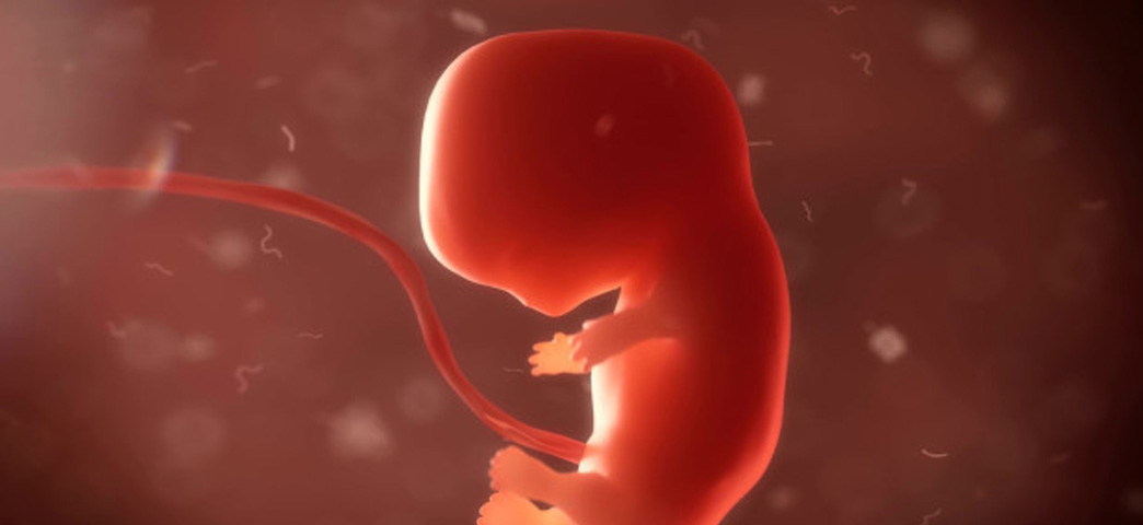 A Bíblia e o Aborto. A Bíblia e o Aborto.